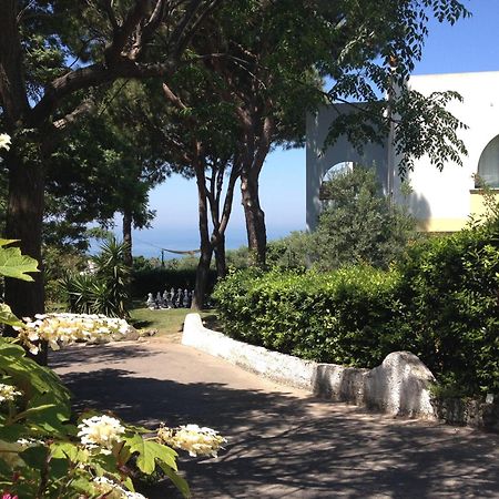 Paradiso Terme Resort & Spa Con 5 Piscine Termali Forio di Ischia المظهر الخارجي الصورة