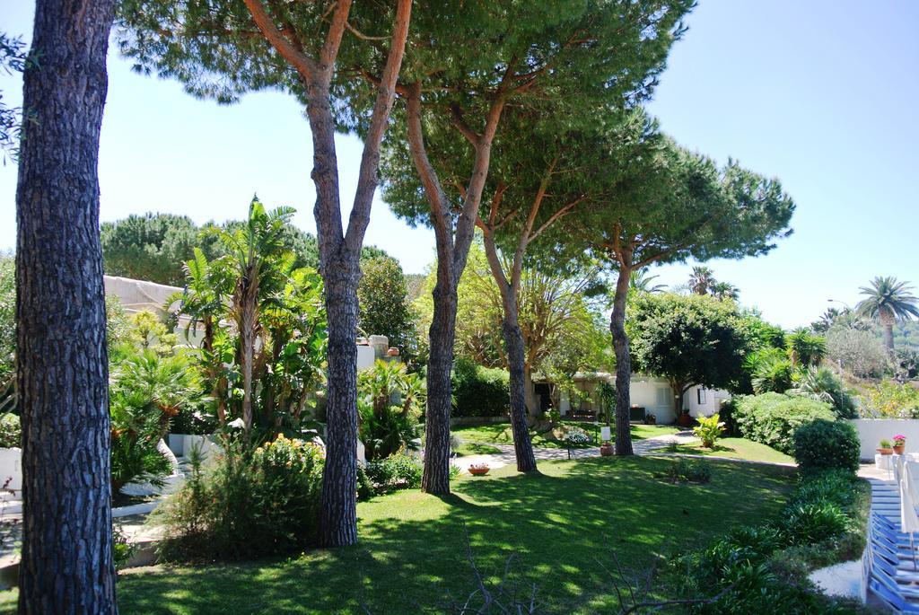 Paradiso Terme Resort & Spa Con 5 Piscine Termali Forio di Ischia المظهر الخارجي الصورة