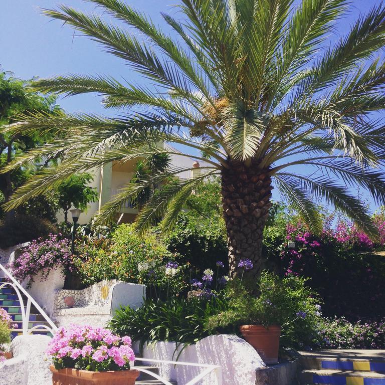 Paradiso Terme Resort & Spa Con 5 Piscine Termali Forio di Ischia المظهر الخارجي الصورة